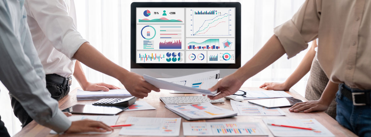 Financial software dashboards and secure APIs