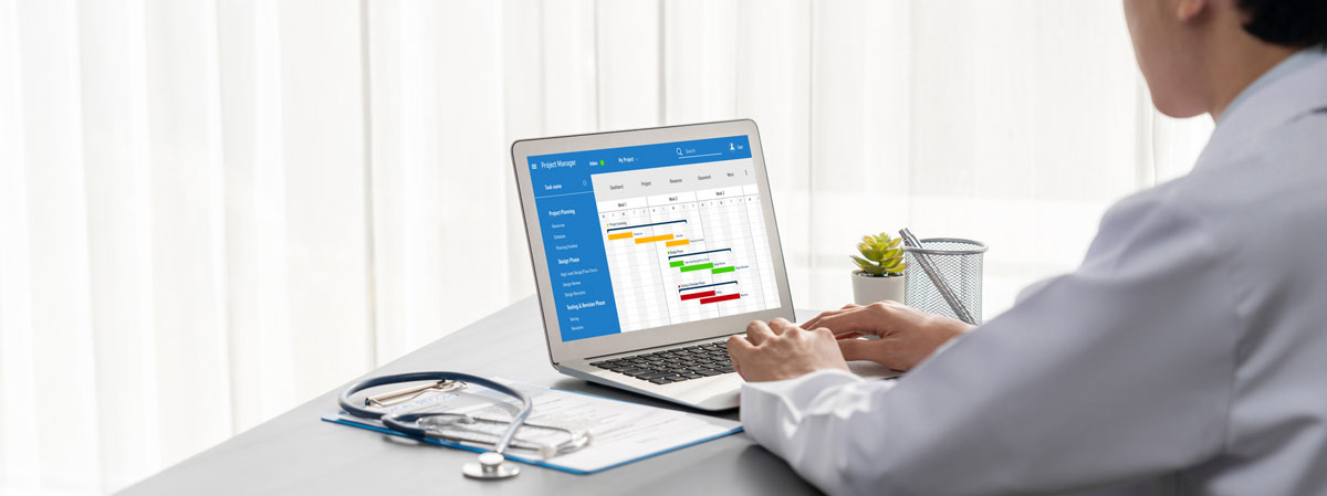 Healthcare software project plan